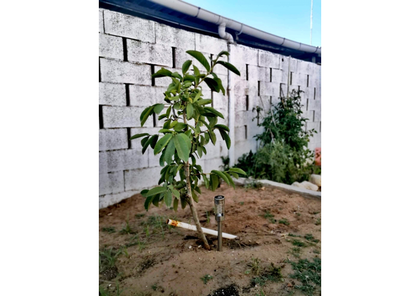 Willa blisko  plaży w Cullera